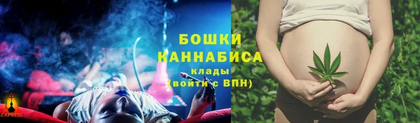 ГАЛЛЮЦИНОГЕННЫЕ ГРИБЫ Верея