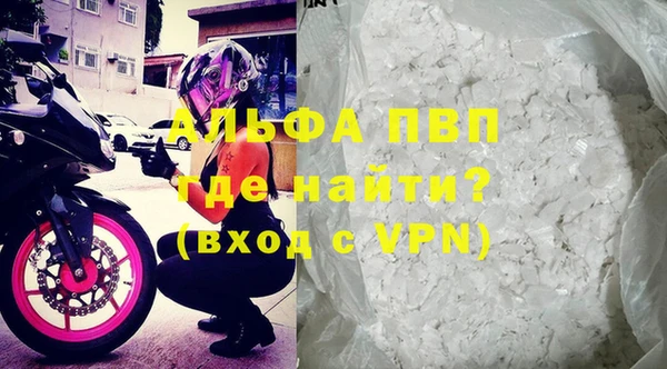 ГАЛЛЮЦИНОГЕННЫЕ ГРИБЫ Верея