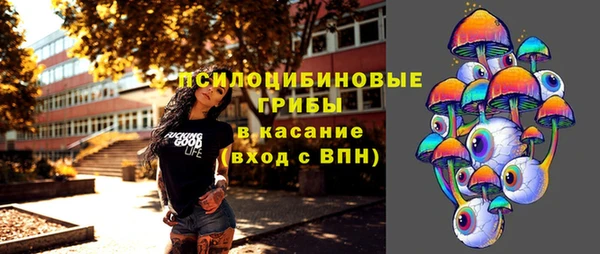 гашик Бугульма