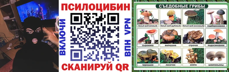 Галлюциногенные грибы прущие грибы  Новосокольники 