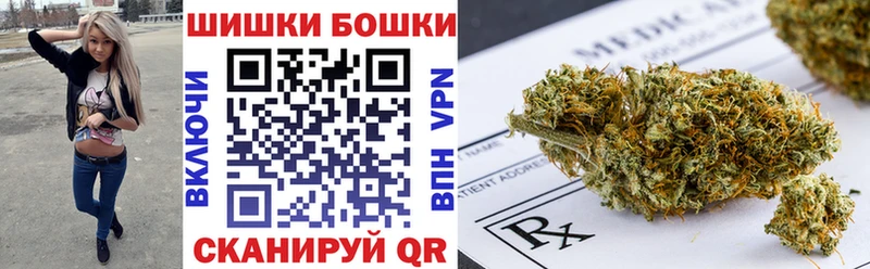 где продают наркотики  Новосокольники  Каннабис гибрид 